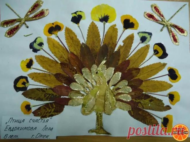 Яндекс.Картинки: поиск похожих картинок