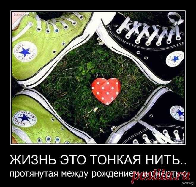 Освободи свой ум от мыслей.
Позволь Сердцу успокоиться.
Спокойно следи за суматохой мира.
Следи за тем, как все встает на свои места. (Лао-Цзы)