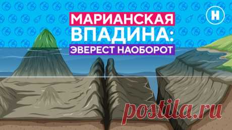 Марианская впадина: Эверест наоборот | Канал Наука | Дзен