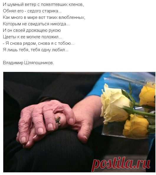 Мой Мир@Mail.Ru