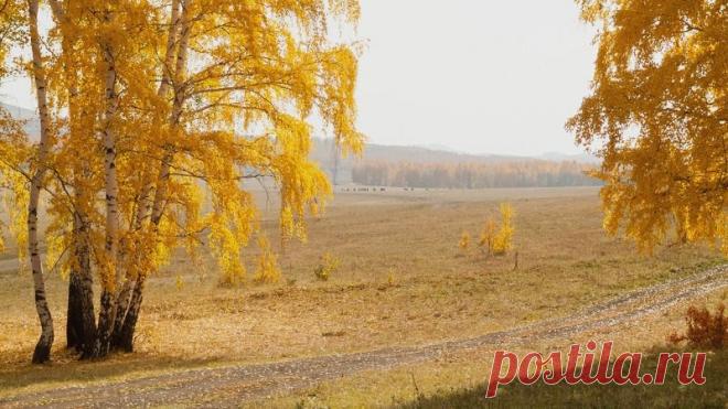 Фотографии жанра - Пейзаж. Профессиональные фото-сообщество 35PHOTO