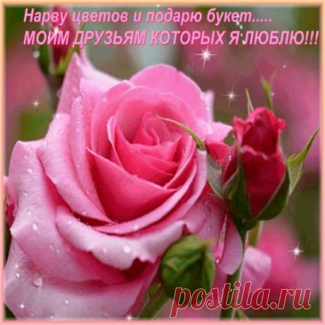 МОЙ ДРУГ, СПАСИБО, ЧТО ТЫ ЕСТЬ !!!