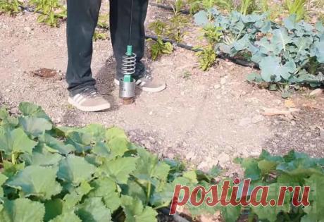 Изготовление садового мини электробура своими руками На дачном участке всегда пригодится инструмент, при помощи которого можно делать неглубокие ямки и лунки в грунте. Например, для посадки черенков деревьев
