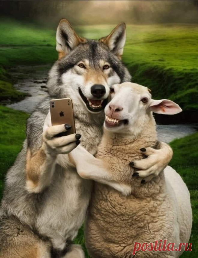 Пин на доске Animals