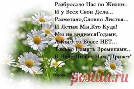 i (482×320)