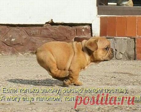 ((((Положительное Настроение))))
Петр Рубашкин