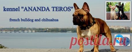 TEREZA - ananda-teros. Jimdo-Page!