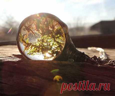 Small terrarium for your neck. -