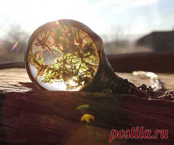Small terrarium for your neck. -