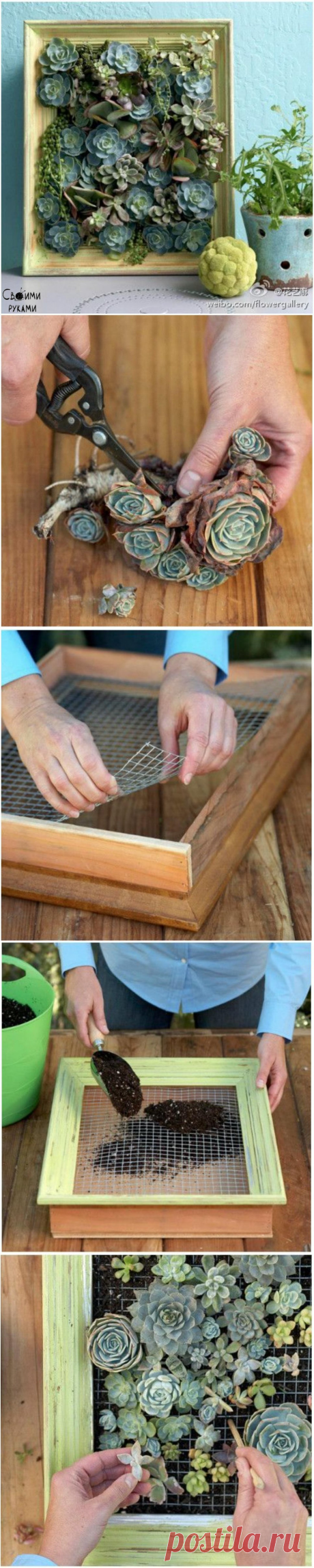 Живая картина