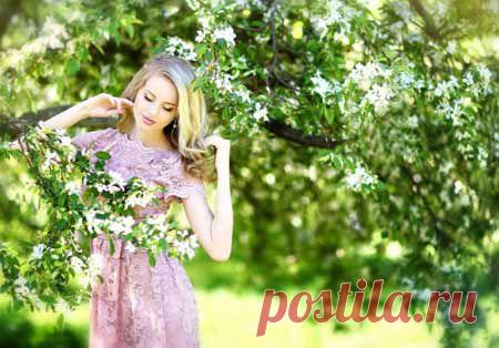 Видео-курс «Энергия рода для женщин с амбициями» | Партнерские программы интернета