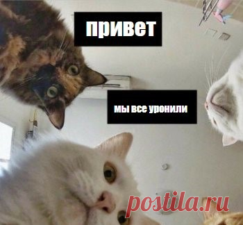 Как создать фейковую переписку онлайн: чаты ватсап, вк, инстаграм, фейсбук Переписки с фейком - это современные приколы, которые распространяют по чатам ватсап и в соцсетях, чтобы поднять настроение. Как создать поддельные чаты Whats App, фейсбук, инстаграм
