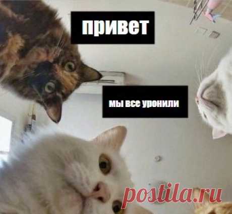 Как создать фейковую переписку онлайн: чаты ватсап, вк, инстаграм, фейсбук Переписки с фейком - это современные приколы, которые распространяют по чатам ватсап и в соцсетях, чтобы поднять настроение. Как создать поддельные чаты Whats App, фейсбук, инстаграм