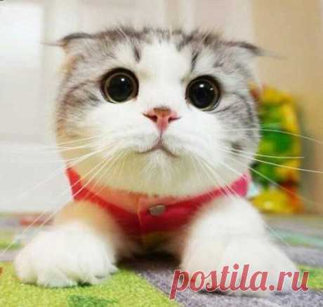Какая милая :)
