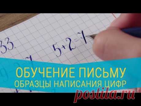 Обучение письму. Образцы написания цифр, оформления примеров и задач