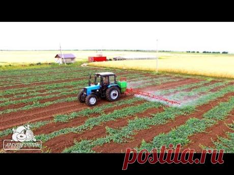 Прополка и опрыскивание 20 07 17
