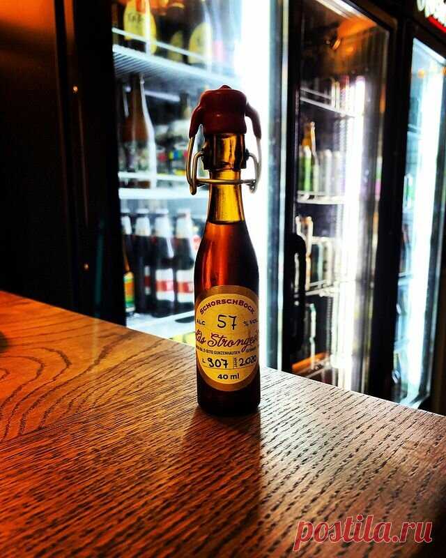 Какое пиво самое крепкое? Я нашла целых семь сортов от 30% | Пивная Кухня | Яндекс Дзен