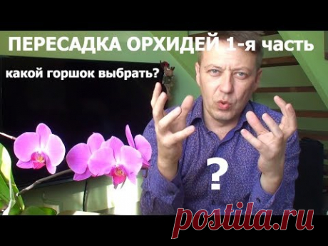 Какой горшок для ОРХИДЕЙ выбрать?