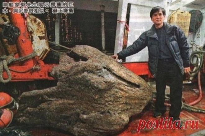 Китайский рыбак выловил полено стоимостью 130 млн. долларов (3 фото)