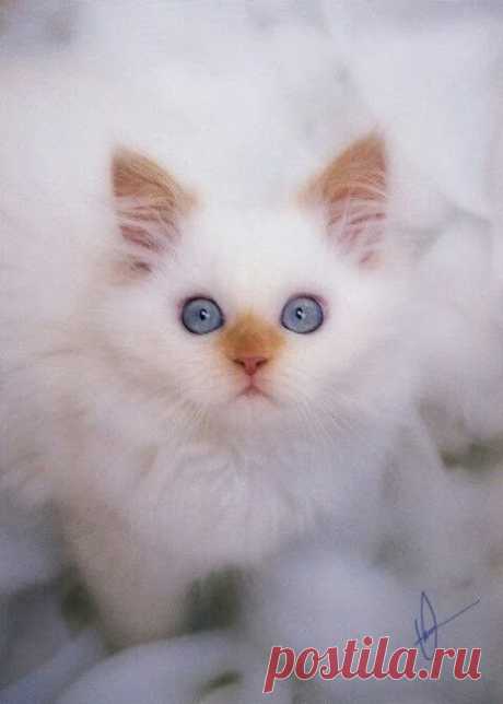 Soooo sweet