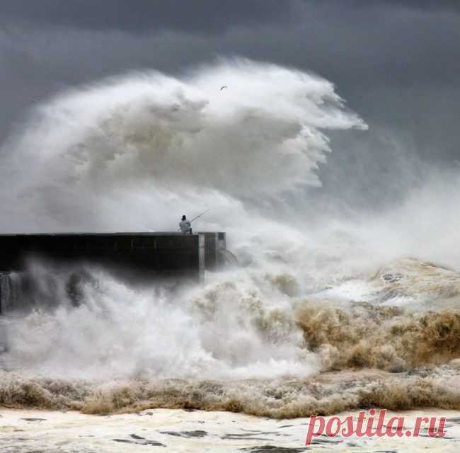 Когда снято в нужный момент / Всё самое лучшее из интернета