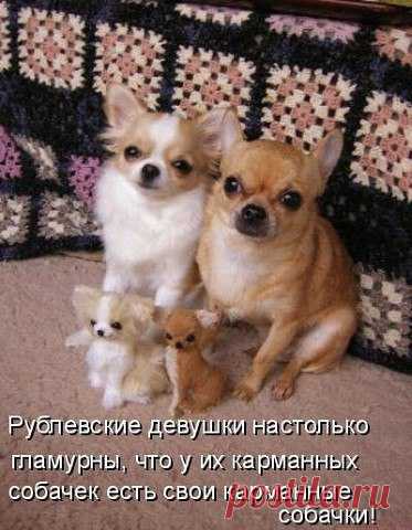 )))