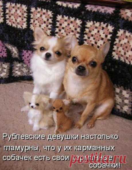 )))