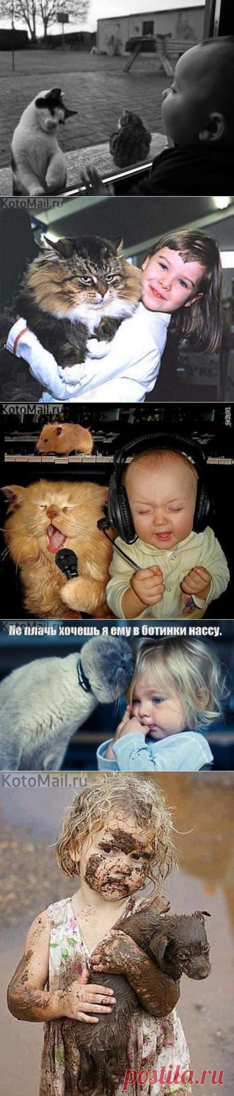 Ребята и зверята | KotoMail.ru