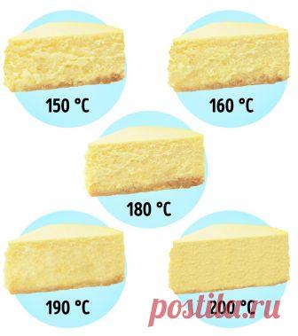 Известные фуд-блогеры поделились секретами мастерства, к которому они шли годами