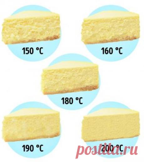 Известные фуд-блогеры поделились секретами мастерства, к которому они шли годами