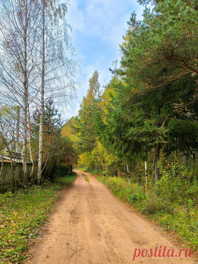 Под Псковом, дачное