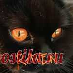 Raven Halloween Cat (@british_shorthair_raven) • Фото и видео в Instagram Подписчики: 32.2 тыс.. Публикации: 379. 🖤#queen #orangeeyes #black 🖤
🧡Proud ambassador @lunakittycollars
🧡🇧🇪 W-VL 23•06•18 
🧡Thank you +30K!
🧡PM for collab