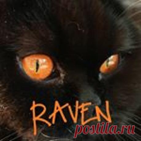 Raven Halloween Cat (@british_shorthair_raven) • Фото и видео в Instagram Подписчики: 32.2 тыс.. Публикации: 379. 🖤#queen #orangeeyes #black 🖤
🧡Proud ambassador @lunakittycollars
🧡🇧🇪 W-VL 23•06•18
🧡Thank you +30K!
🧡PM for collab
