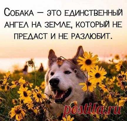 Мой Мир@Mail.Ru
