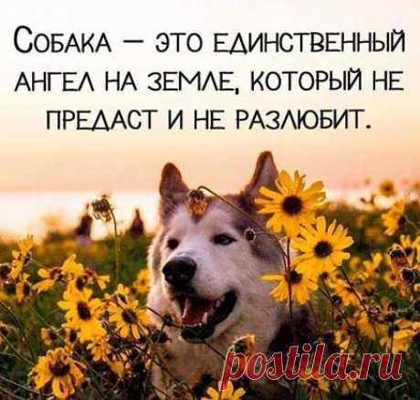 Мой Мир@Mail.Ru