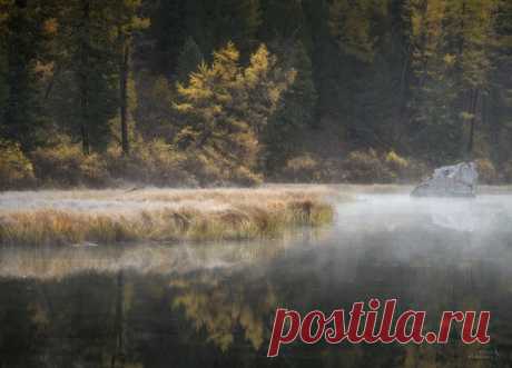 Раннее утро в долине реки Шавла, Алтай. Автор фото – Ольга Потапова: nat-geo.ru/community/user/50884 Сказочного дня!