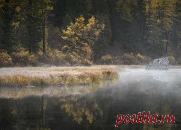 Раннее утро в долине реки Шавла, Алтай. Автор фото – Ольга Потапова: nat-geo.ru/community/user/50884 Сказочного дня!