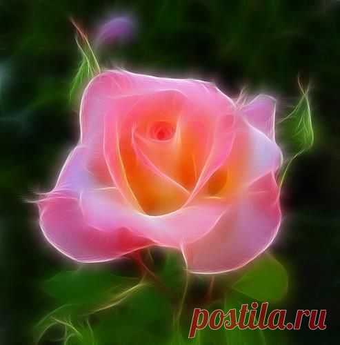 Найдено на сайте facebook.com.