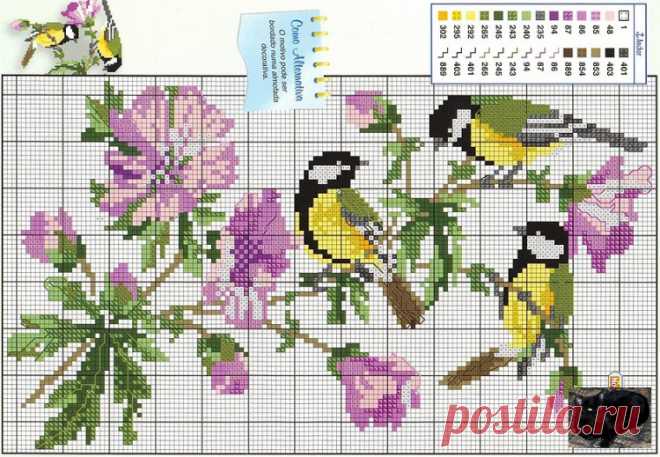 Gallery.ru / Фото #48 - Птицы на 1 листе - berbera53