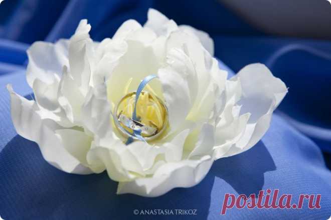 96900_original.jpg (700×467)