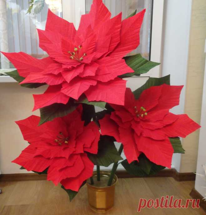 Мастер-классы. Цветы из бумаги. Фотозоны. МК