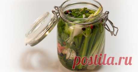 Малосольный молодой чеснок - рецепт | TVeda.ru