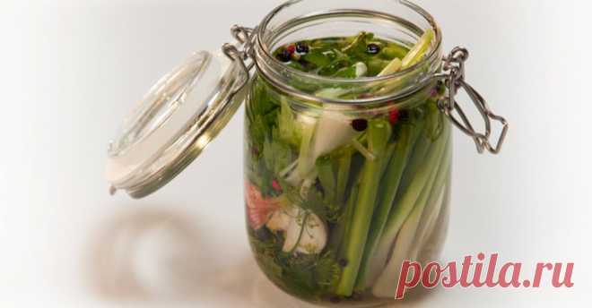 Малосольный молодой чеснок - рецепт | TVeda.ru