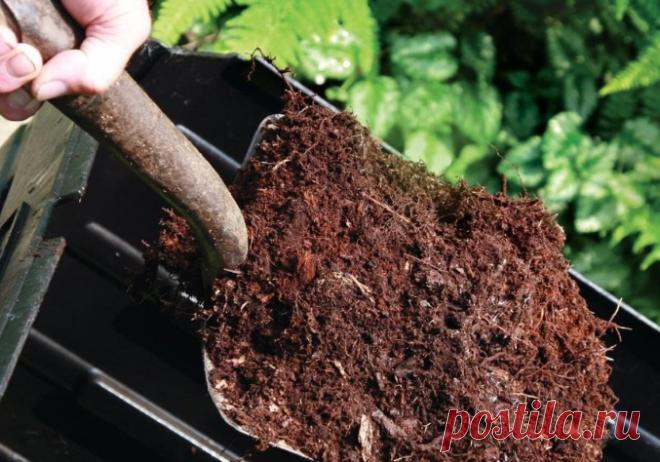 Удобрения для осени. Запасаемся !! Самый полный список Осень – важная пора для подкормок. В это время вносят удобрения под перекопку опустевших грядок. Также в это время подкармливают растения, ускоряя вызревание побегов, созревание плодов и улучшая подготовку растений к зиме. Только для осеннего внесения подойдут не все удобрения. В нашей...