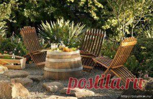 Молодило (каменная роза)