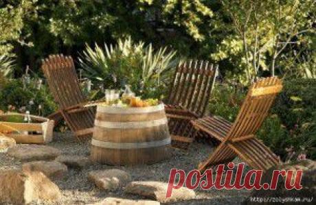 Молодило (каменная роза)