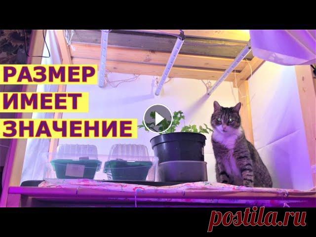 Стеллажи для рассады. Исходя из каких параметров мы их сделали сами. Помощь каналу, карта Сбербанка - 4276 3800 7513 3459 На канале: Наталья Сморчкова...