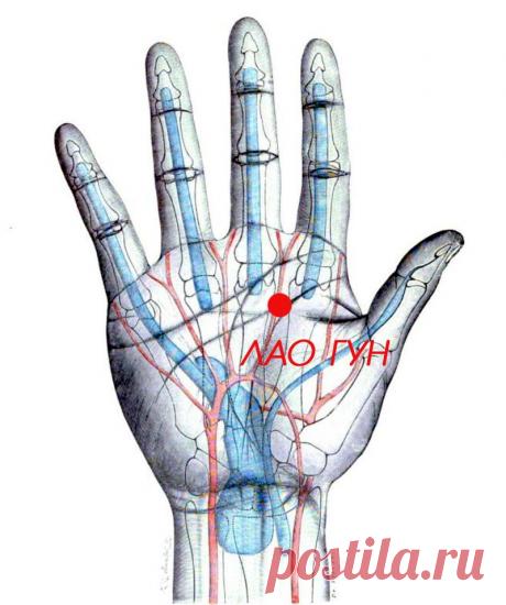 Лао-гун: Волшебная точка Душевного Равновесия и Восстановления после болезней - Образованная Сова