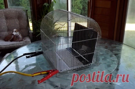 Как защитить себя от вредного воздействия электромагнитных волн в доме? | Заметки Электрика | Яндекс Дзен