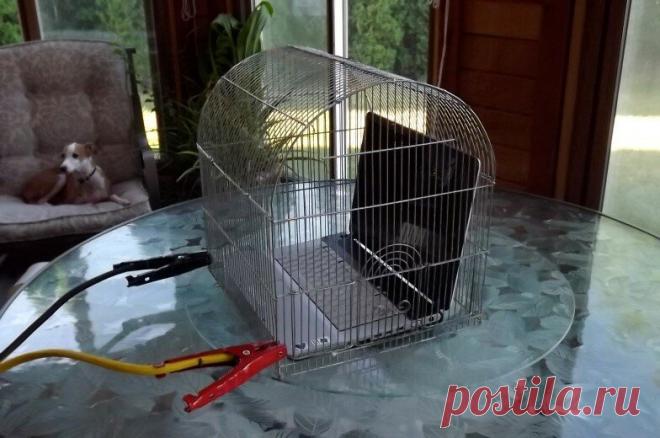 Как защитить себя от вредного воздействия электромагнитных волн в доме? | Заметки Электрика | Яндекс Дзен